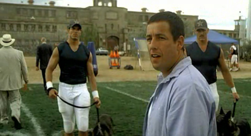 The Longest Yard